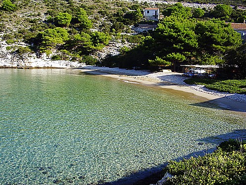 Üppige Vegetation mediterran